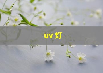 uv 灯